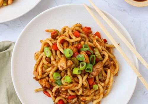Yaki Udonnoodles Met Kip