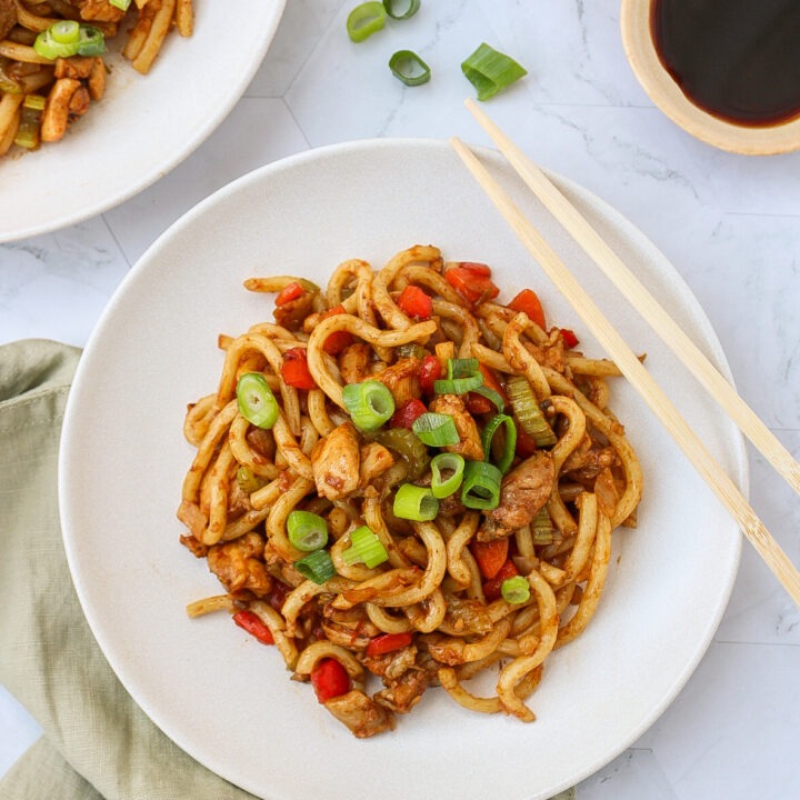 Yaki Udonnoodles Met Kip